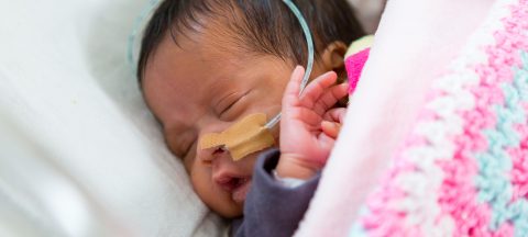 Close up of a new born baby attached to a tube from the nose asleep tucked into pink blankets.